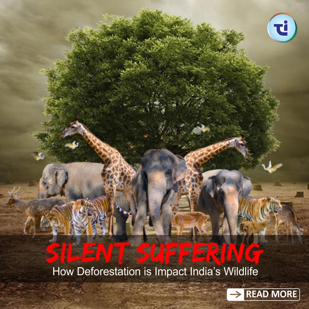 Silent Suffering : How Deforestation In India Impacts Wildlife?